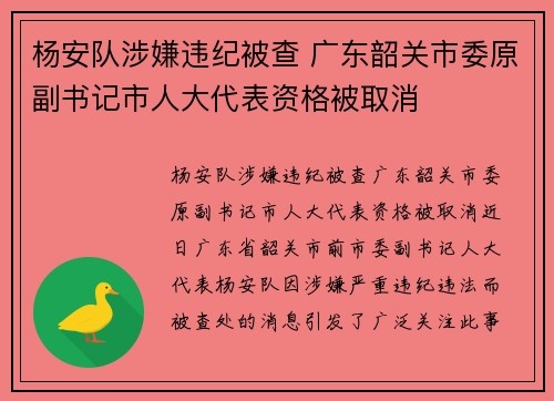 杨安队涉嫌违纪被查 广东韶关市委原副书记市人大代表资格被取消