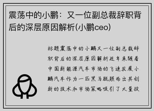 震荡中的小鹏：又一位副总裁辞职背后的深层原因解析(小鹏ceo)