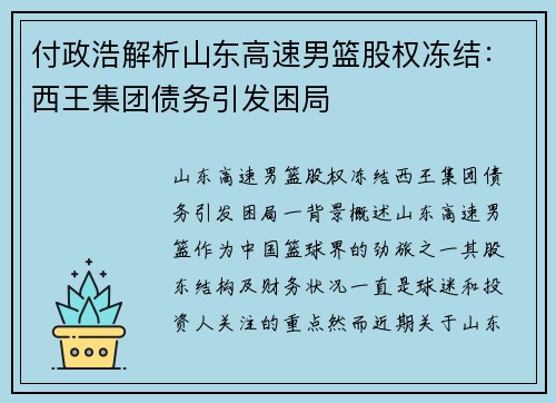 付政浩解析山东高速男篮股权冻结：西王集团债务引发困局